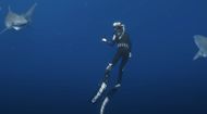 Shark Whisperer (Image via Netflix)